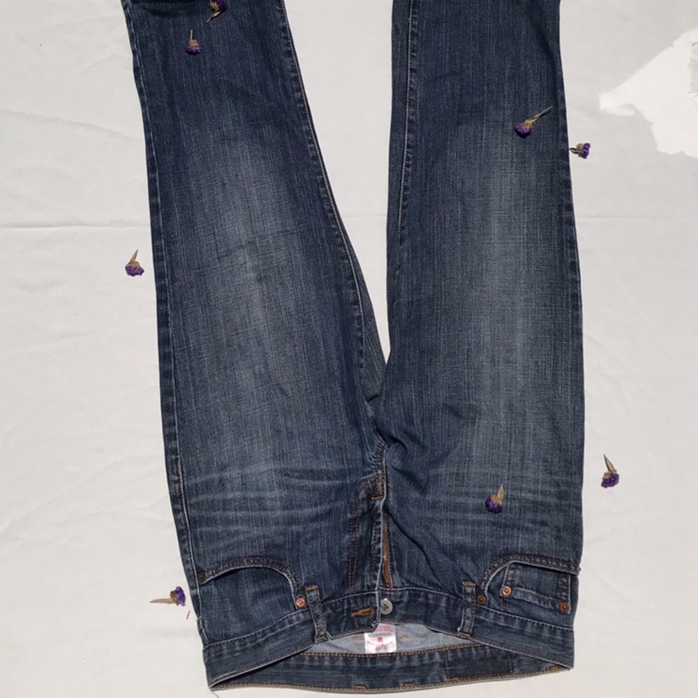 Lucky Brand Dungarees classic fit crop